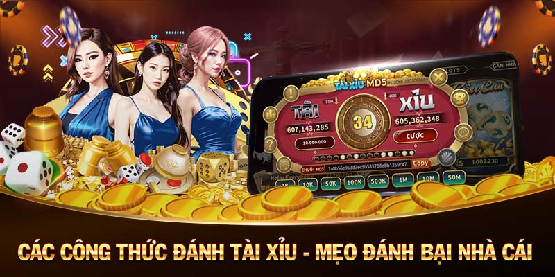 zbet-Tận hưởng các phần thưởng đặc biệt từ nhà cái!